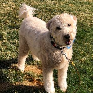 Meet your Posher, Janice